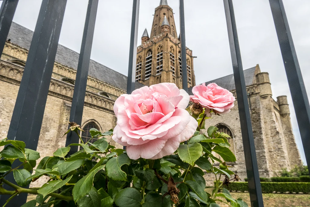 L'église Notre-Dame de Calais