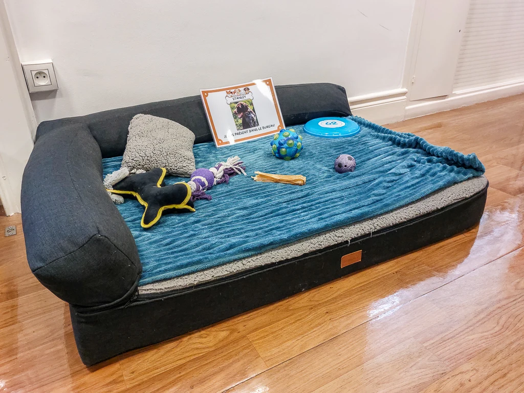 Le divan de Monsieur Stanley