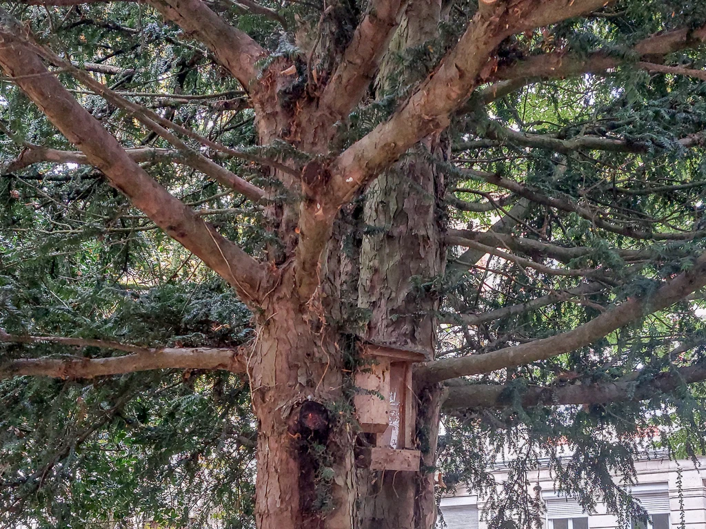 Des abris posés dans les arcbres du parc Saint-Pierre de Calais
