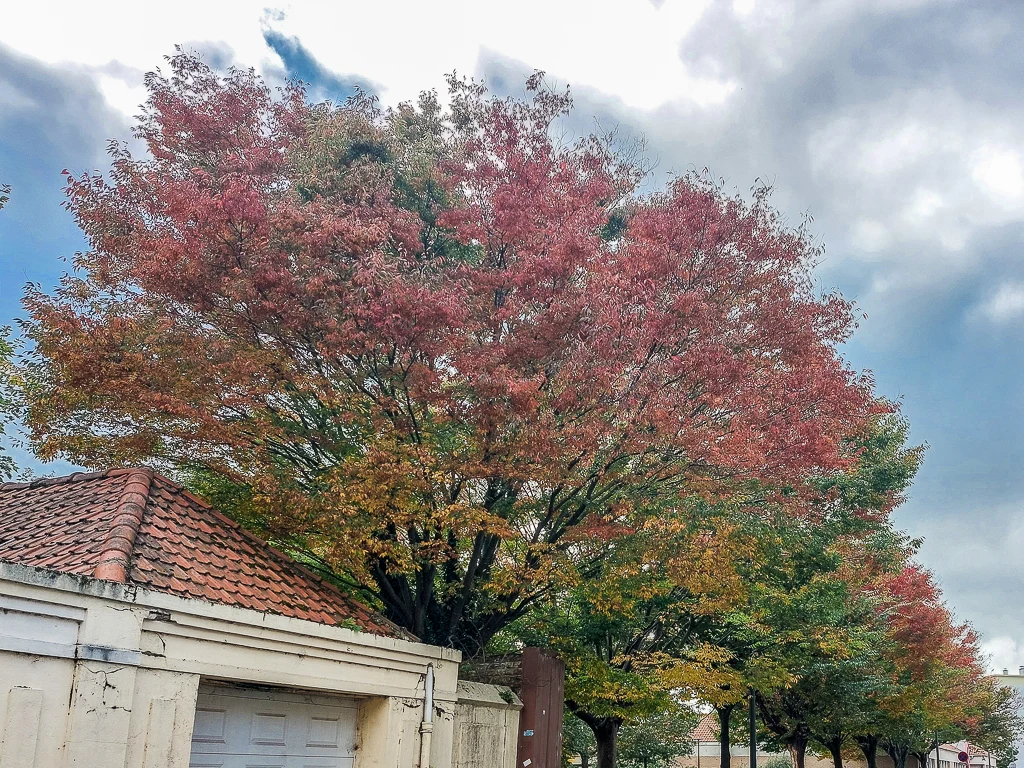 La rue du Bout-des-Digues de Calais