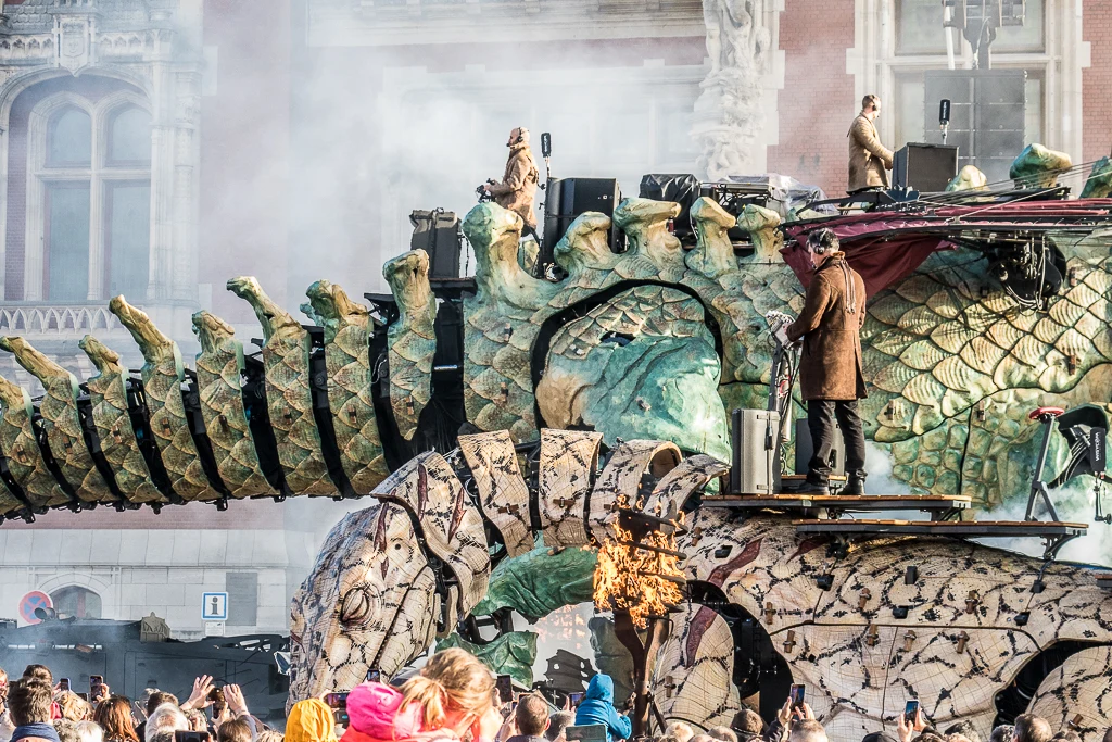 Les deux sauriens se rencontrent