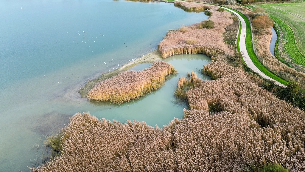 Un éco-système a pris place àa la base Tom-Souville