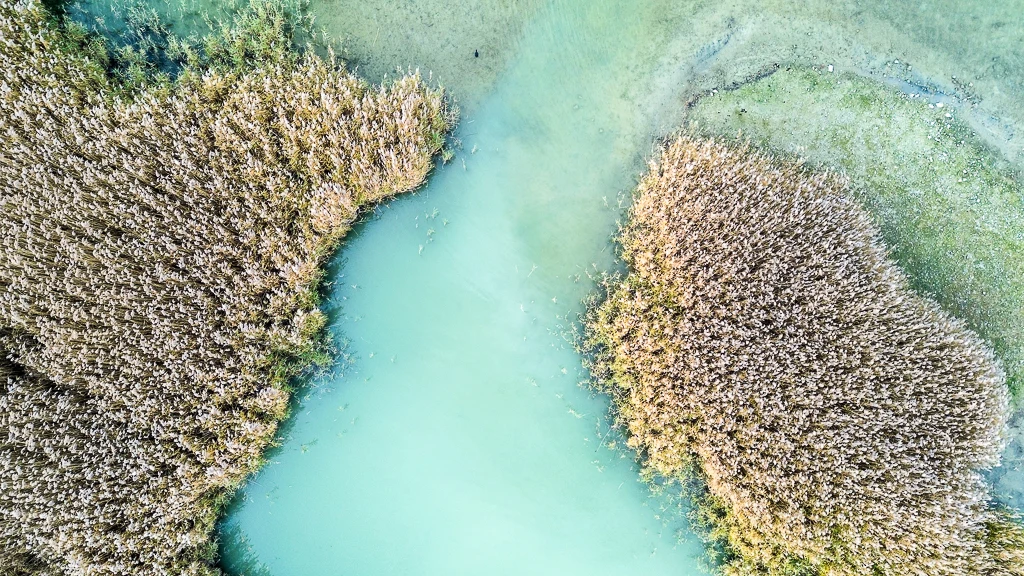 Une vision paradisiaque de la base Tom-Souville de Sangatte