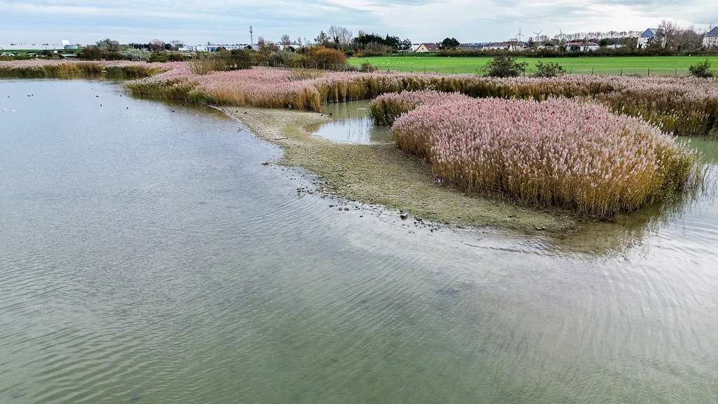 La nature a tous ses droits