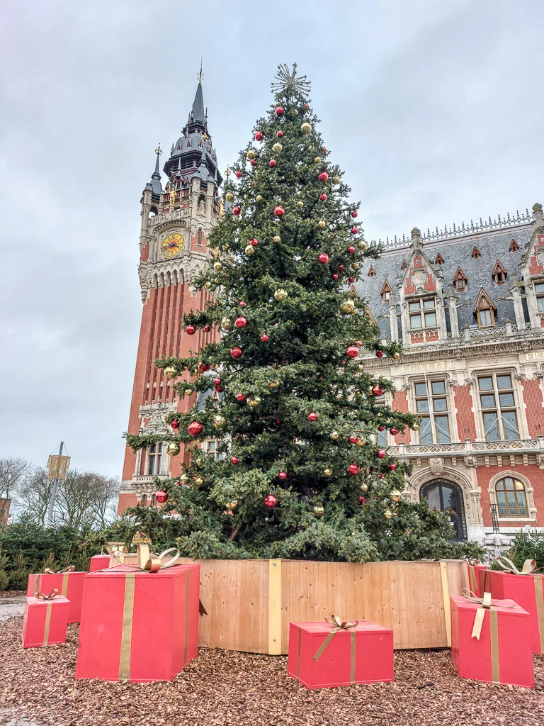 Un impressionant sapin de Noël planté place de la mairie de Calais