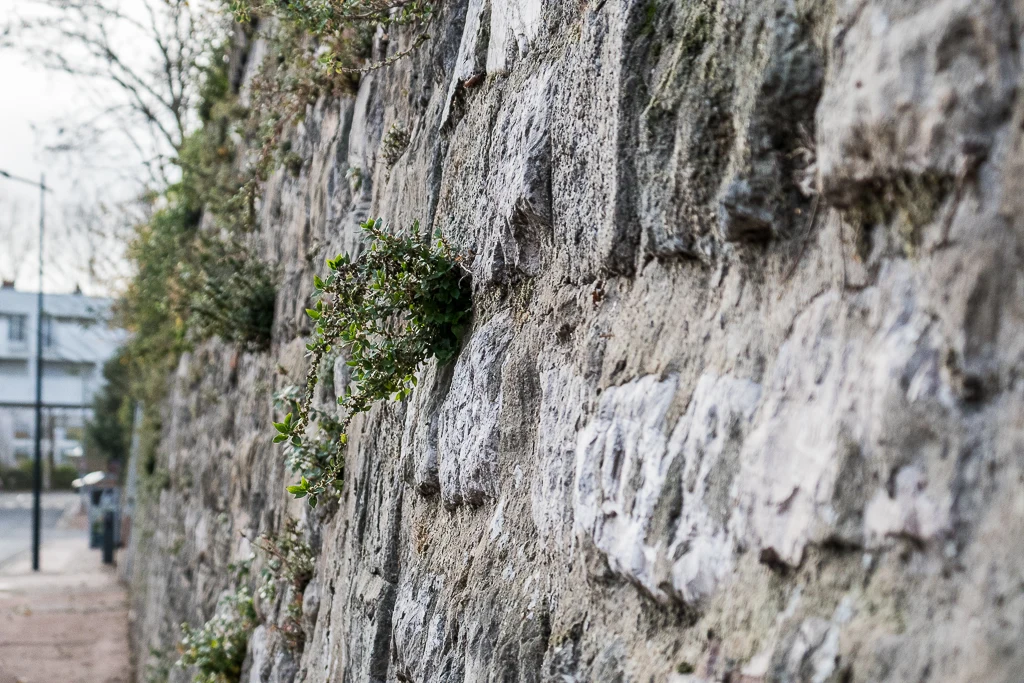 Les remparts du parc Richelieu
