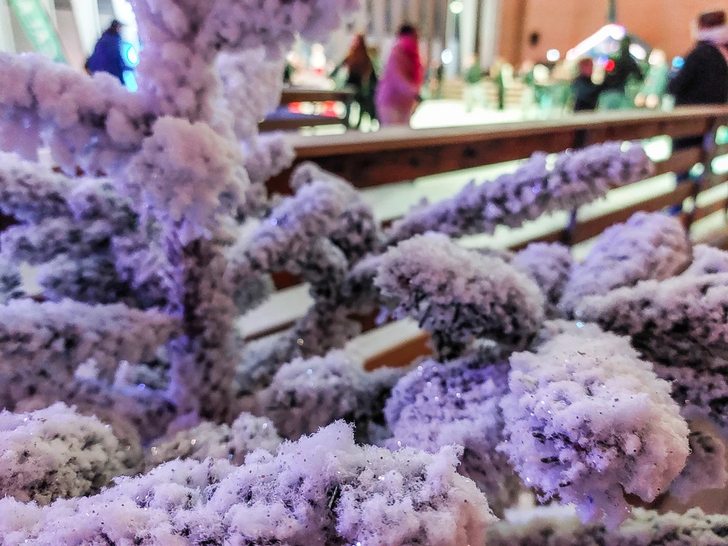 La patinoire décorée à l'occasion de la Noël à Calais