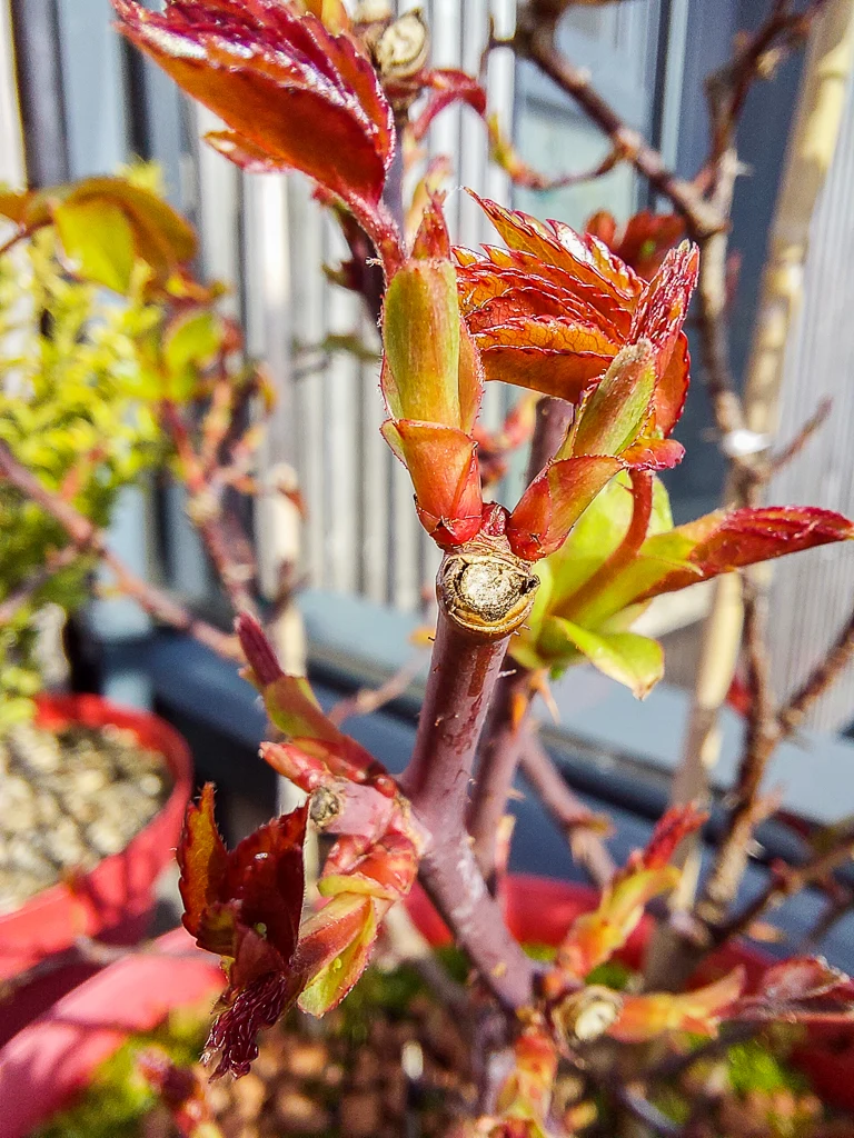 Quant Mère Nature ne se trompe pas