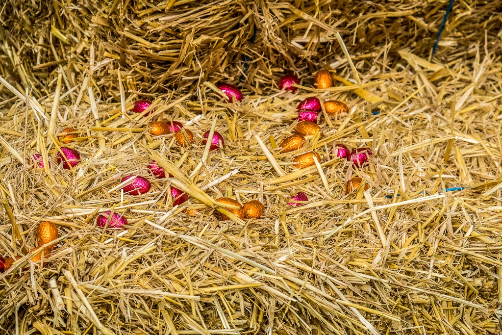 Les œufs attendent dans les ballots de paille