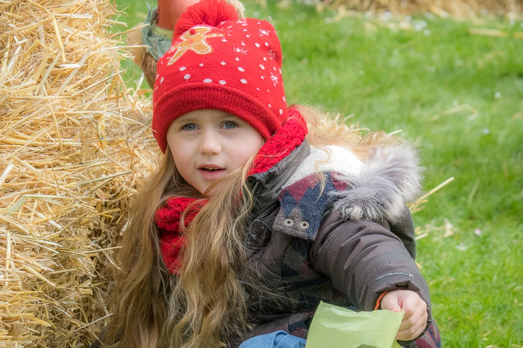 Rien trouvé sous ce ballot de paille