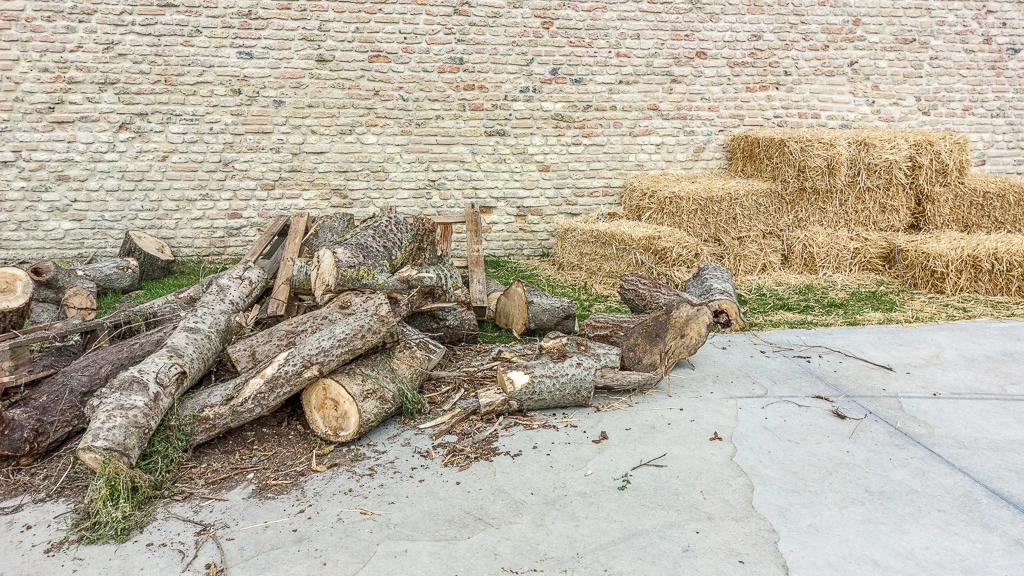 Du bon bois vert offert par les jardiniers de la Ville de Calais