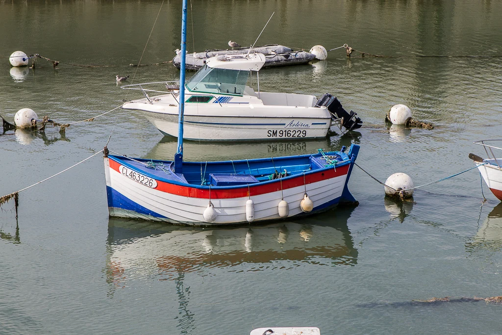 La pêche au flobard se pratiquait à Calais
