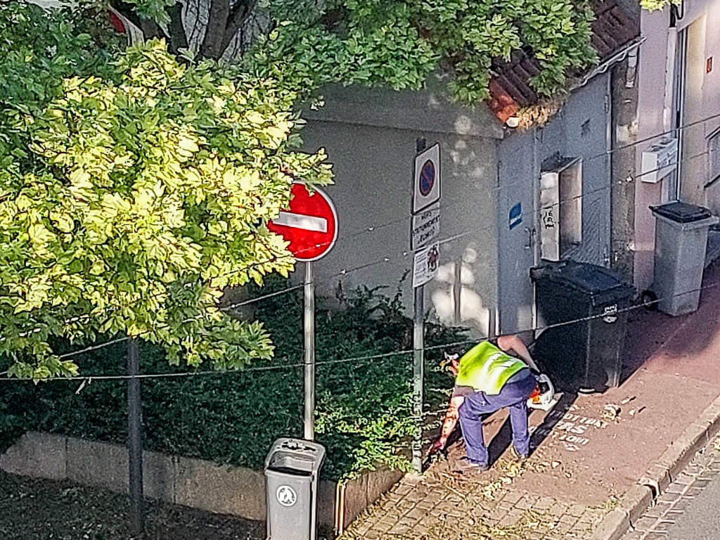 Un jardinier peu scrupuleux du sommeil des habitants de Calais