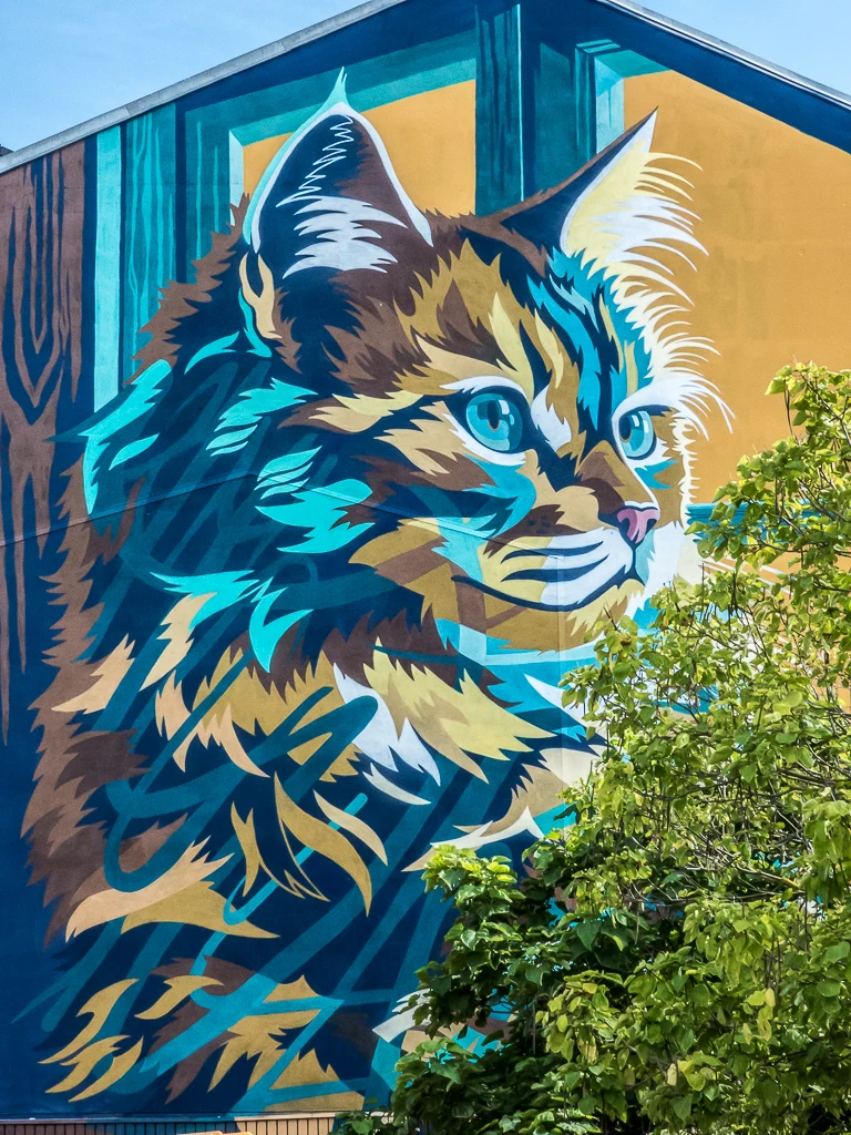 Monsieur Chat par Kat & Action