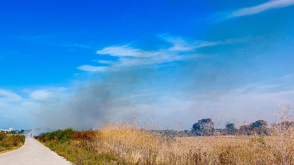 Feu de végétations au Fort Nieulay